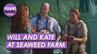 The Prince And Princess Of Wales Take A Tour Of A Seaweed Farm