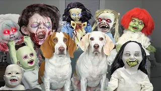 Dogs vs Zombie Baby Daycare: Funny Dogs Maymo & Potpie vs EPIC Zombie Babies Apocalypse on Halloween
