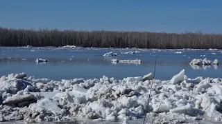 Ледоход на Оби прошёл город Колпашево и сейчас находится в районе устья реки Чая