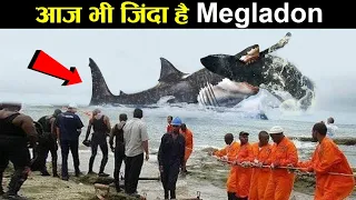 आज भी ज़िंदा है ये megaladon ! biggest shark in ocean ! earth adventure in hindi
