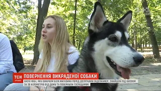 Викрадену у Києві собаку знайшли за 30 кілометрів від дому