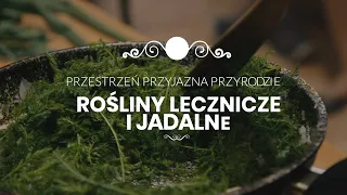 Rośliny lecznicze i jadalne