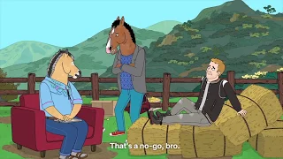 Bojack horseman's best zinger