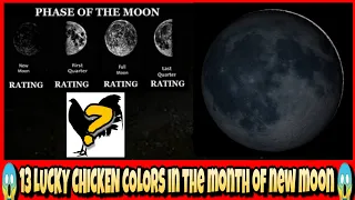 13 LUCKY CHICKEN COLORS IN THE MONTH OF NEW MOON