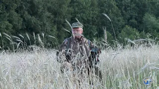 Охота на кабана (Hunting on a hog. Film 4). На потравах.