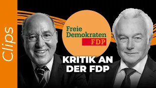 Kubicki: Kritik an der eigenen Partei (FDP)