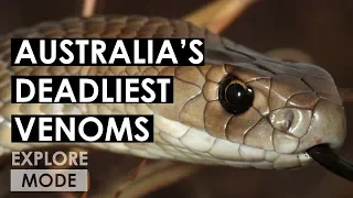 Australia’s deadliest animals | World’s Deadliest Venoms | EXPLORE MODE