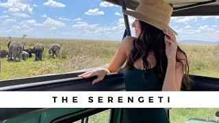 Our EPIC Safari of Dreams!! You won't believe what happened.....