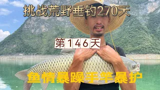 連續野釣第146天 手竿守巨物，大草魚又連桿爆護，收獲滿滿