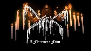 Mork - I Flammens Favn (with Det Svarte Juv)