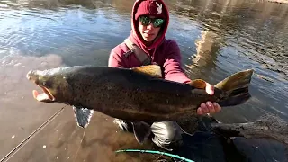 Public Shore Fishing Big Trout