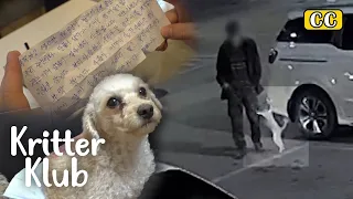 Dog Was Abandoned In A Car Park With A Letter..? l Kritter Klub