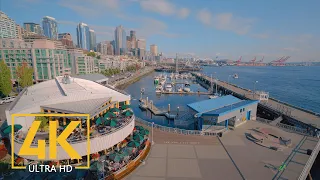 Colorful City Life of Downtown Seattle - 4K Urban Life Film (with Music) - Cities of the World