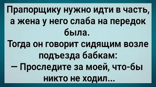 Была у Прапорщика Жена Гулящая! Сборник Свежих Анекдотов! Юмор! Смех! Позитив!