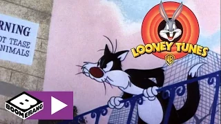 Looney Tunes | Allo zoo | Boomerang