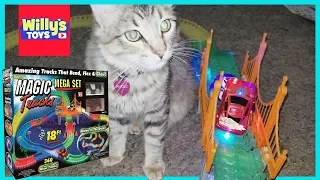 Magic Tracks MEGA SET Toy Review 18Ft Speedway Glow Track vs. Maine Coon Cat - Willy's Toys