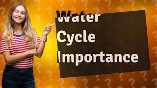 Why is the water cycle important simple explanation?