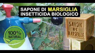 SAPONE DI MARSIGLIA INSETTICIDA BIOLOGICO