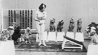Miss Dundee and her Performing Dogs (1902)