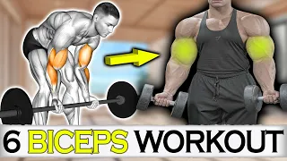 6 Exercises to pump your Biceps ( maximum )