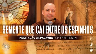 Semente que cai entre os espinhos | (Lc 8, 4-15) #517 - Meditação da Palavra