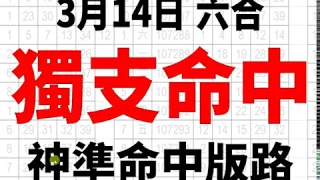 3月14日 上期中２１ ４６ ３３ ４７ 六合彩 獨支命中 版路 香港六合彩版路號碼預測 【六合彩財神爺】