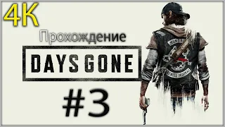 Days Gone прохождение в 4К #3 Лагерь Такер