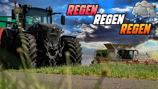 Ab in den Einzelkorn Raps | Regen Regen Regen | Farming Week