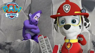 Marshall zachraňuje Humquatche před nebezpečným útesem! Tlapková Patrola PAW Patrol pohádky pro děti