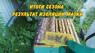 пчеловодство. итоги сезона результат изоляции матки