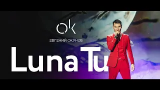 Alessandro Safina - Luna Tu (COVER by Третьяков)