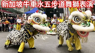 FIVE FOOTWAY FESTIVAL LION DANCE PERFORMANCE BY HOK SAN ASSOCIATION SINGAPORE AT CHINATOWN 2024