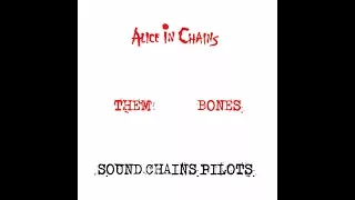 Sound Chain Pilots   Them Bones  LIVE