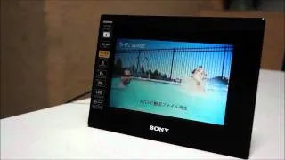 Sony S-Frame DFP-HD800 #1