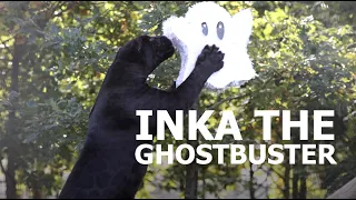Inka the GHOSTBUSTER