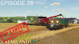 My Biggest Field / 200HP Challenge-Parallel Series / Calm Lands / Episode 28 / Farming Simulator 22