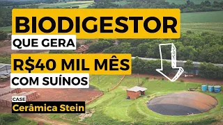 BIODIGESTOR LUCRATIVO | 6 mil suínos geram energia para a cerâmica que economiza R$40 MIL todo mês