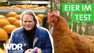 Eier - Woher kommen sie und wie glücklich sind die Hühner? | 2020 | Der Vorkoster | WDR