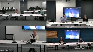 Strategy and Planning Committee - 13 July 2022