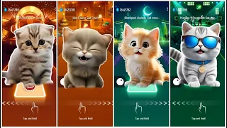 Cute Cats Dance Battle 🔥😺 Which One You Like The Most?