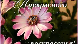 Счастливого воскресенья