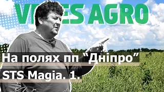 На полях пп "Дніпро" // Анатолій Грушецький / про STS MAGIA. Частина 1