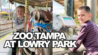 Zoo Tampa at Lowry Park | What To Do In Tampa Bay With Kids | Pangani Tribe