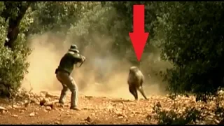 TOP 5 Craziest and most SCARY wild boar attacks on snipers