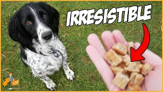 Super Tasty Homemade Dog Treats (anyone can make!)