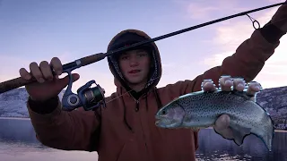 Awesome evening fish for rainbow trout on Deer Creek Res! First Trip on the boat trolling! 2024