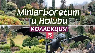Мини арборетум Холуба (Чехия). Miniarboretum u Holubů. Коллекция хвойных растений