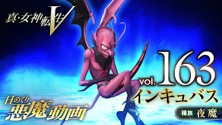 インキュバス - 真・女神転生V 日めくり悪魔 Vol.163