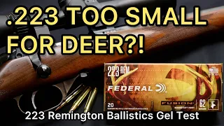 WEAKEST .223 FOR DEER!! 223 Remington Federal Fusion 62gr Ammo Test