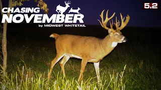 Giant Small-Tract Whitetail | Big Public Land Buck | Chasing November